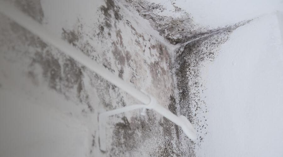 Why choose PureCore Pros for water damage restoration in Kent